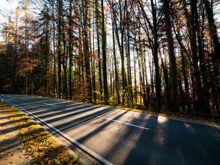 Image of road in the forest with lights and shadows