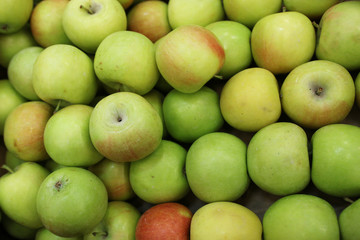 a new crop of fresh apples
