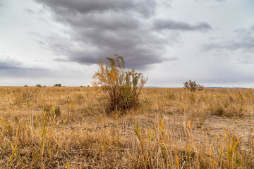 Endless steppes in front of sky and clouds.