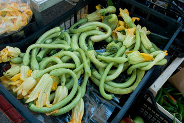 fresh zucchini, Italian variety called 