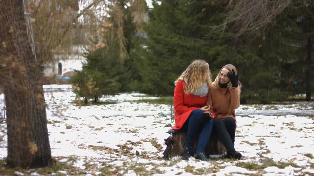 Girls in snowy park.
Two girls sit on a stump in city park and lively communicate. Snowy weather. Laughing.