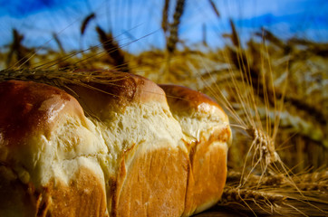 Freshly baked bread on the background of a wheat field.