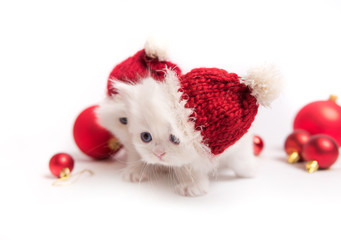Fototapeta na wymiar kittens with new year hats