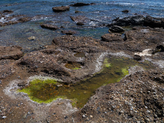 tidal pool and rocks in the sea