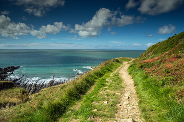 Coast path near Hartland quay in North Devon , England