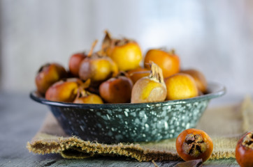 Mespilus germanica - also known as Medlar Fruit