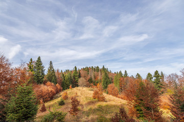 Fototapeta na wymiar Colorful autumn in the Polish mountains