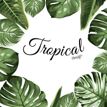 Tropical vector design border frame element. Green monstera philodendron jungle palm tree leaves assortment. Exotic greenery realistic drawing illustration. Text placeholder. White background.