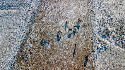 DRON Bieszczasy zima śnieg  © Piotr