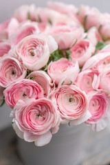 Ranunculus asiaticus or Persian Buttercup. Bunch of pastel pink blossom . Light gray background, metal vase. Wallpaper, flowers texture