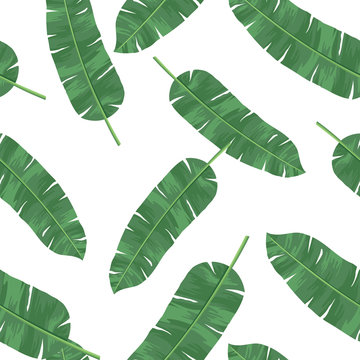 Banana leaves pattern. Tropical vector green leaves seamless pattern. Seamless tropical pattern with banana leaves