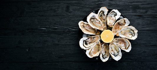 Fresh oysters in a plate of ice and lemon. Seafood. Top view. Free copy space. - Powered by Adobe