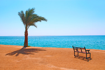 Empty bench near sea. Tripical landscape
