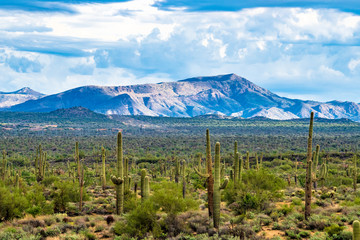 The mountains beyond the desert