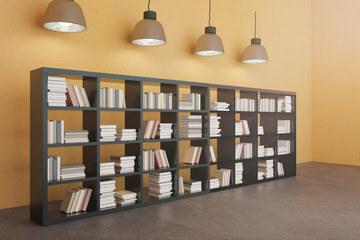 New interior with bookshelf