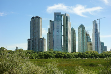 Fototapeta na wymiar Buenos Aires skyline and park