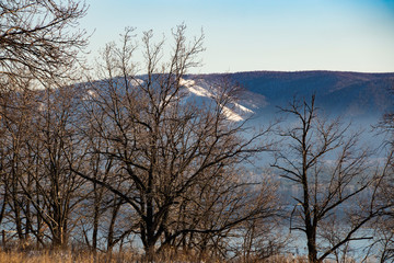 winter, clear day, blue sky, forest, trees, mountains