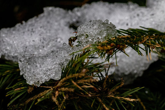 Winterbeginning