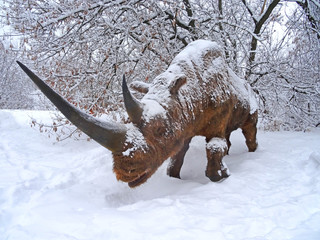 Цoolly Rhino in winter