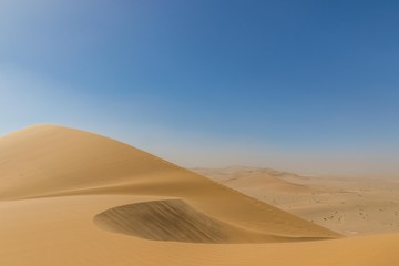 Namib desert panorama