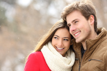 Happy couple in love looking away in a snowy winter