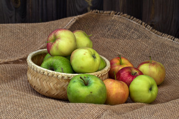Autumn still life with beautiful ripe apples