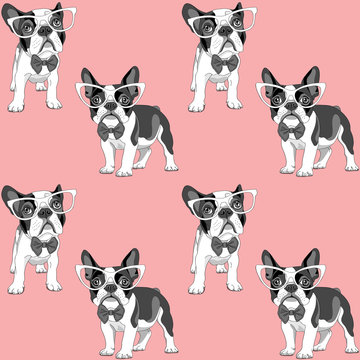 Seamless pattern with a black and white Cartoon French Bulldog puppies in a glasses on a pink background. Vector illustration.