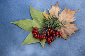 rosehips and dried leaves