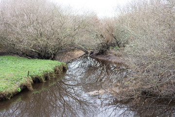 a river flows in the countryside on a fall day