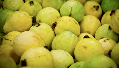 Fresh guava fruit 