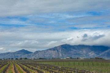 Naklejka premium South Africa