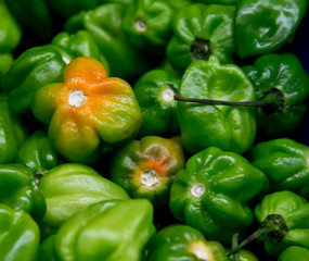 Obraz na płótnie Canvas Mexican hot peppers chiles