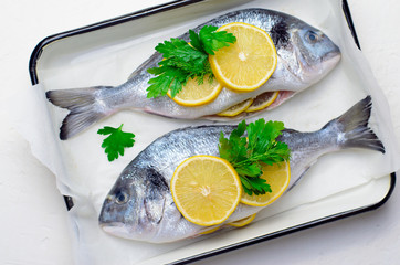 Fresh Dorado or Sea Bream with Lemon and Herbs, Raw Fish Ready to be Cooked, Top View