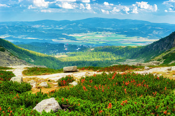 Mountain High Tatras National Park