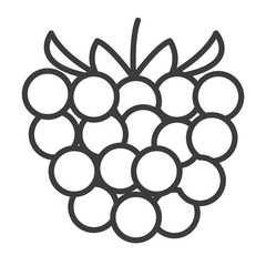 Raspberry vector icon in modern flat style isolated. Raspberry can support is good for your web design.