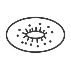 Kiwi vector icon in modern flat style isolated. Kiwi can support is good for your web design.