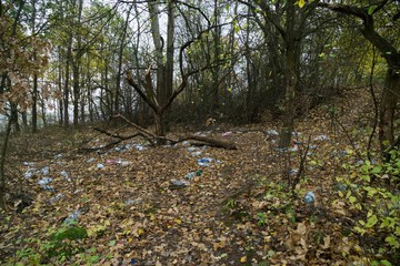 PET bottles and mess in the forest. Slovakia