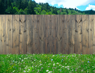 Wooden fence standing on summer lawn with flowers