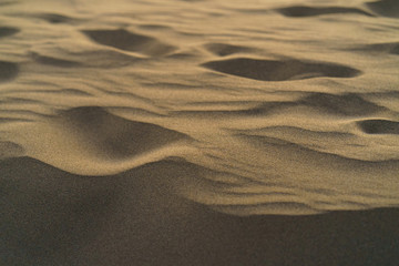 Fototapeta premium Sandy World - Maspalomas (Gran Canaria) Dunes