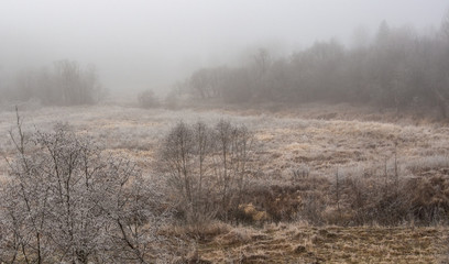Obraz na płótnie Canvas First frosty morning