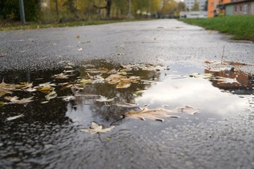 Obraz na płótnie Canvas Autumn leaves in the puddle on the road. Slovakia