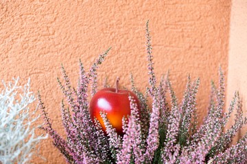 Apple decoration in pink flowers. Slovakia
