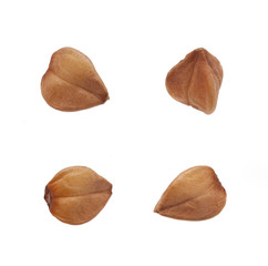 Four grains of buckwheat isolated on white background.