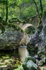 Stone bridge over creek in a forest - 236854868