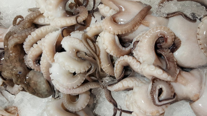 Fresh octopus on ice for sale