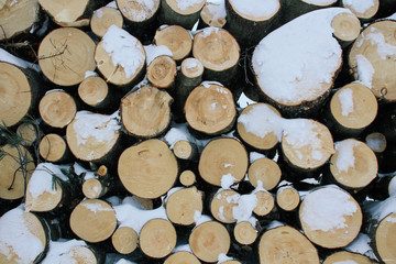 Fototapeta premium A pile of snow covered logs stacked in rural Quebec, Canada 