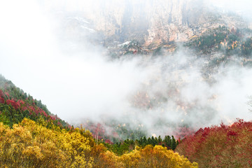 misty landscape at foggy mountains