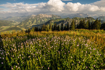 Obraz premium Allgäu, Wertacher Hörnle