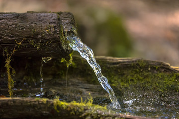 Mountain water spring