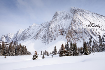 Fototapeta na wymiar Winter landscape in Kananaskis Country near Mount Chester, Alberta